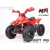 BIGFOOT 110