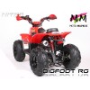 BIGFOOT 110